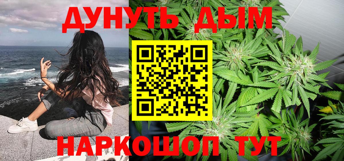 Каннабис планчик Карпинск